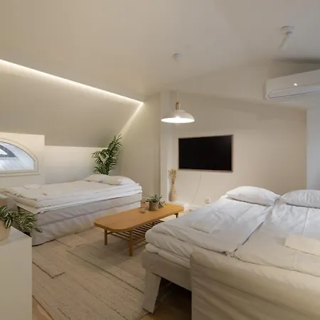 公寓 Toeoeloe Penthouse *